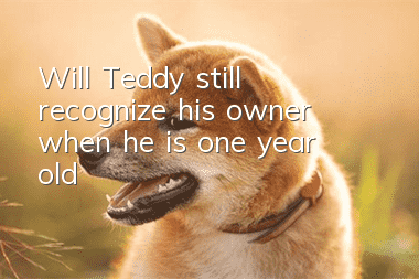 Will Teddy still recognize his owner when he is one year old?