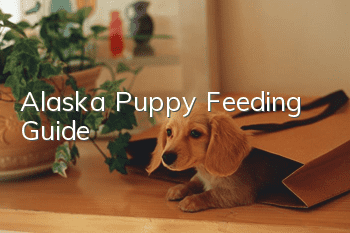 Alaska Puppy Feeding Guide