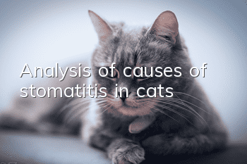 Analysis of causes of stomatitis in cats