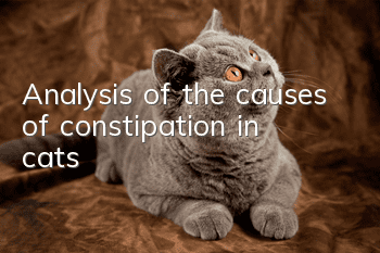 Analysis of the causes of constipation in cats