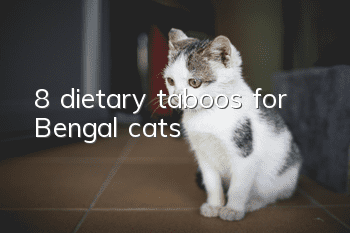8 dietary taboos for Bengal cats