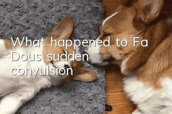 What happened to Fa Dou's sudden convulsion?