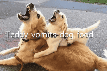 Teddy vomits dog food