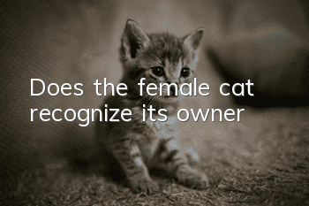 Does the female cat recognize its owner?