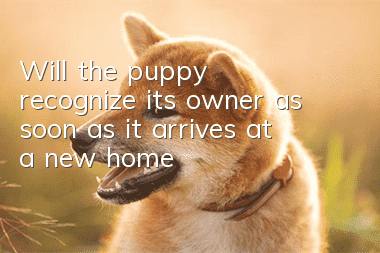 Will the puppy recognize its owner as soon as it arrives at a new home?