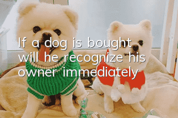 If a dog is bought, will he recognize his owner immediately?