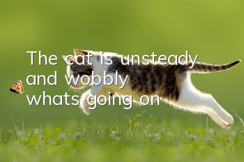 The cat is unsteady and wobbly, what's going on?