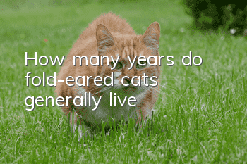 How many years do fold-eared cats generally live?