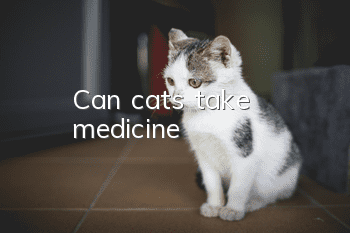Can cats take medicine?