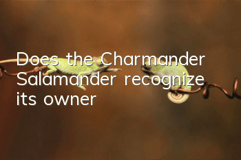 Does the Charmander Salamander recognize its owner?