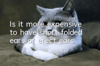 Is it more expensive to have short folded ears or erect ears?