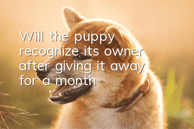 Will the puppy recognize its owner after giving it away for a month?
