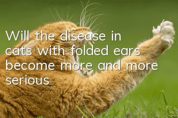 Will the disease in cats with folded ears become more and more serious?