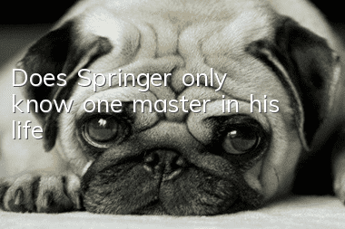Does Springer only know one master in his life?