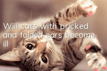 Will cats with pricked and folded ears become ill?