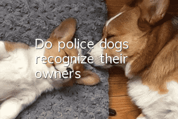 Do police dogs recognize their owners?