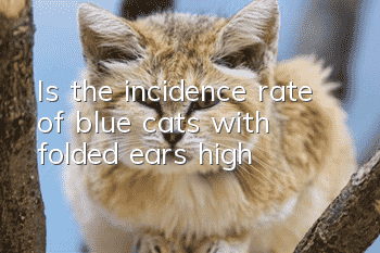 Is the incidence rate of blue cats with folded ears high?