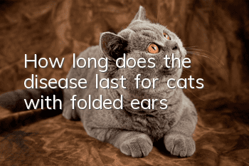 How long does the disease last for cats with folded ears?