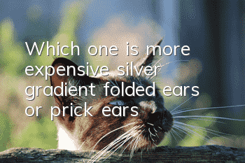 Which one is more expensive, silver gradient folded ears or prick ears?