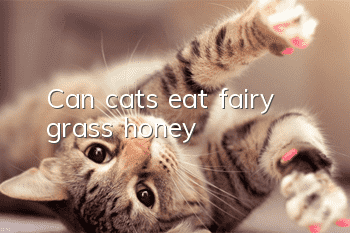 Can cats eat fairy grass honey?