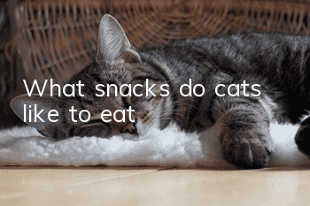 What snacks do cats like to eat?