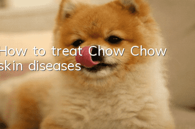 How to treat Chow Chow skin diseases