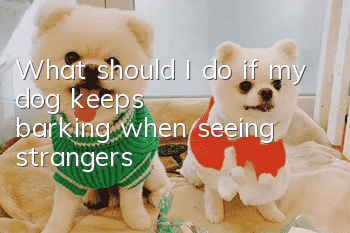 What should I do if my dog ​​keeps barking when seeing strangers?