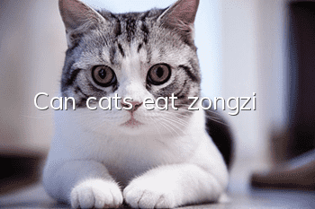 Can cats eat zongzi?