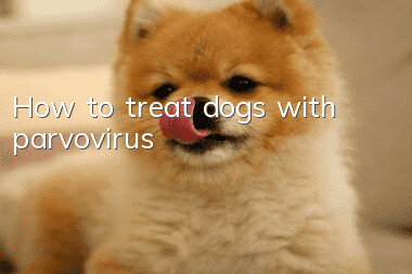 How to treat dogs with parvovirus?