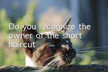 Do you recognize the owner of the short haircut?