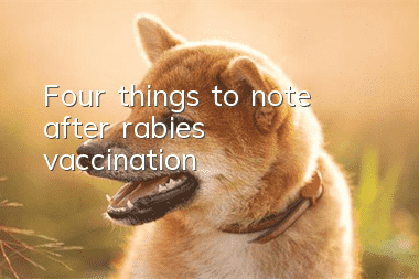 Four things to note after rabies vaccination