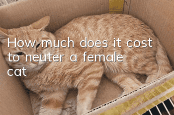 How much does it cost to neuter a female cat?