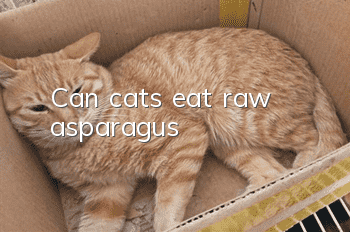 Can cats eat raw asparagus?