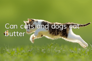 Can cats and dogs eat butter?