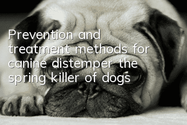 Prevention and treatment methods for canine distemper, the spring killer of dogs
