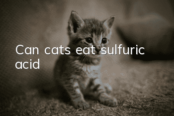 Can cats eat sulfuric acid?