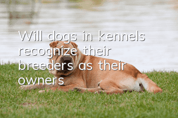 Will dogs in kennels recognize their breeders as their owners?