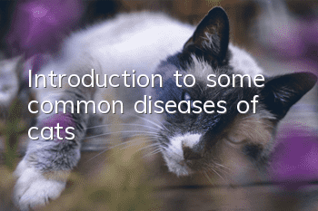 Introduction to some common diseases of cats