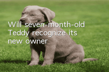 Will seven-month-old Teddy recognize its new owner?