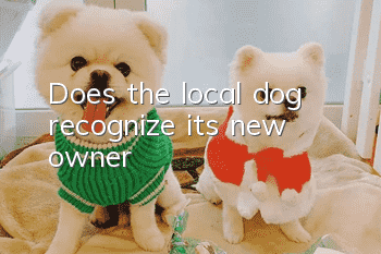 Does the local dog recognize its new owner?