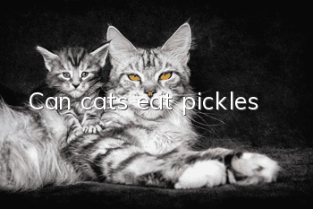 Can cats eat pickles?
