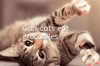 Can cats eat crocodiles?