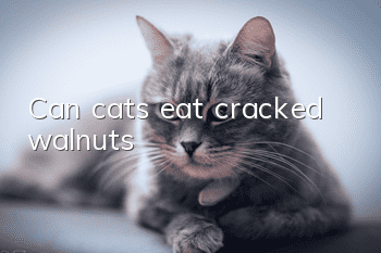 Can cats eat cracked walnuts?