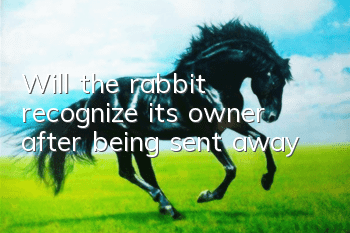 Will the rabbit recognize its owner after being sent away?