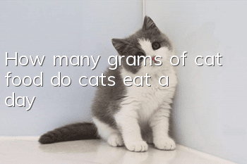 How many grams of cat food do cats eat a day?