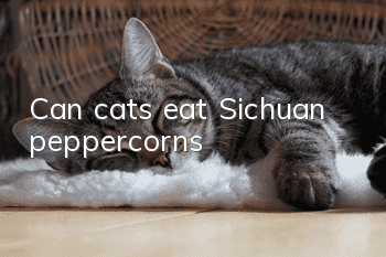 Can cats eat Sichuan peppercorns?