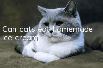 Can cats eat homemade ice cream?