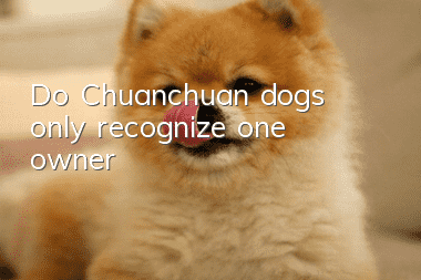 Do Chuanchuan dogs only recognize one owner?