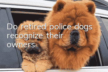 Do retired police dogs recognize their owners?