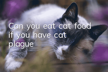Can you eat cat food if you have cat plague?